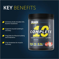 Basix Complete 10 Juicy Watermelon 405g