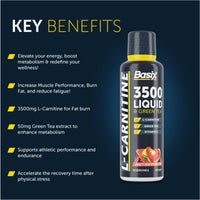 Basix 3500 Liquid Watermelon 480ml