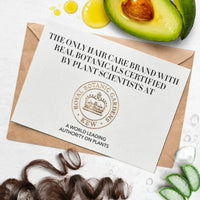 Herbal Essences Bio Renew Aloe + Avocado Oil Leave In Cream 180ml