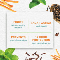 Himalaya Toothpaste Mint Fresh 100ml
