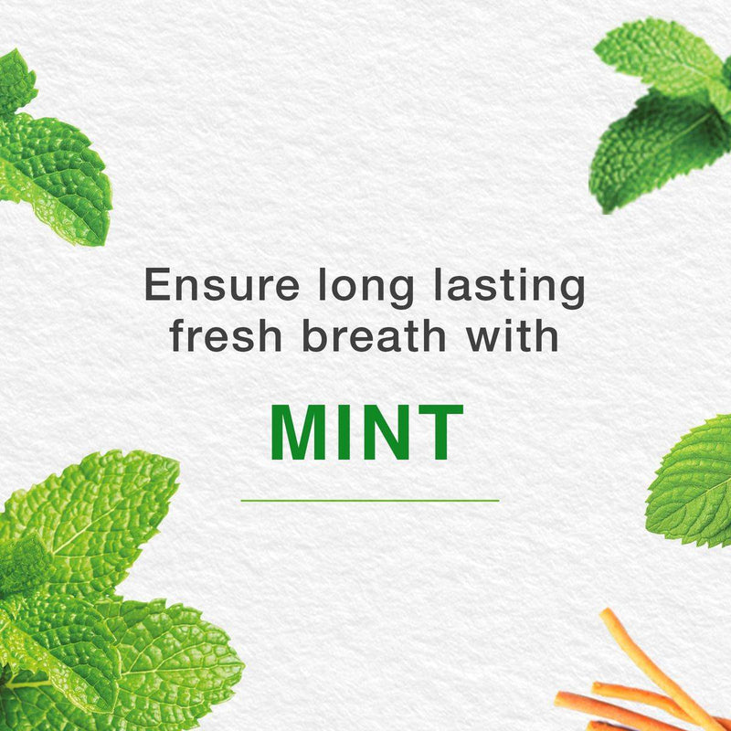 Himalaya Toothpaste Mint Fresh 100ml