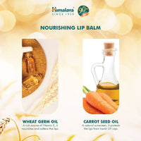 Himalaya Lip Balm Nourishing 10g