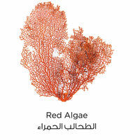 Loreal Paris Pure Clay Red Face Wash with Red Algae 150ml