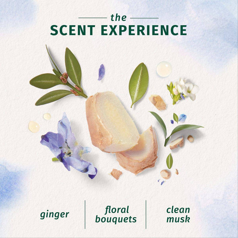 Herbal Essences Bio Renew Blue Ginger & Micellar Water Shampoo 400ml