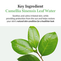 Dr. Althea Green Tea Fresh Sunscreen SPF50 45ml