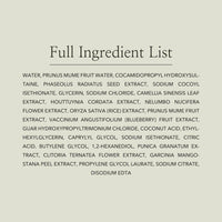 Beauty of Joseon Green Plum Refreshing Cleanser 100ml