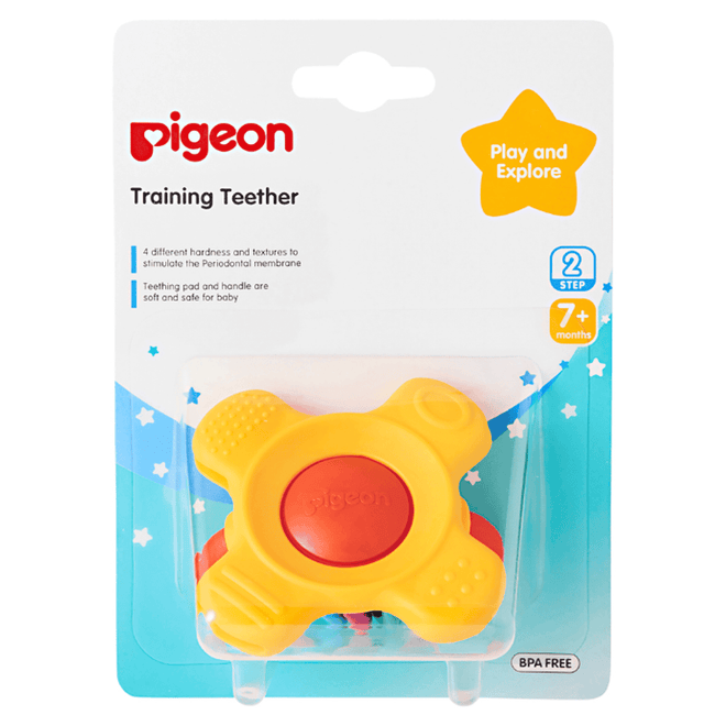 Pigeon Training Teether Step 2