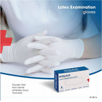 Wolaid Latex Examination Gloves Powder Free Large 100 Pieces