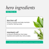 Hask Tea Tree Oil & Rosemary Conditioner 355ml