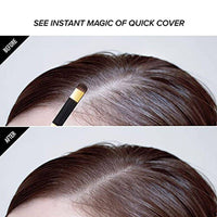 Kiss Colors QCS02 Quick Cover Root Touch Up Hair Shadow Dark Brown Kit