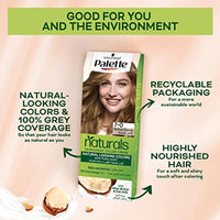 Schwarzkopf Palette Permanent Natural Colors Cream 8-0 Light Blonde
