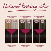 Schwarzkopf Palette Intensive Color Creme 1-1 Blue Black