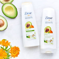 Dove Conditioner Avocado Strength 350ml