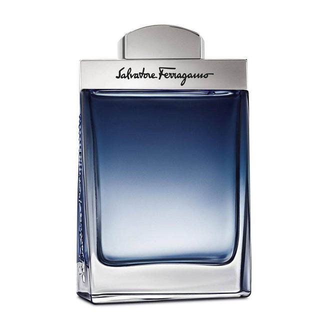 Salvatore Ferragamo Subtil Pour Homme (M) EDT 100ml