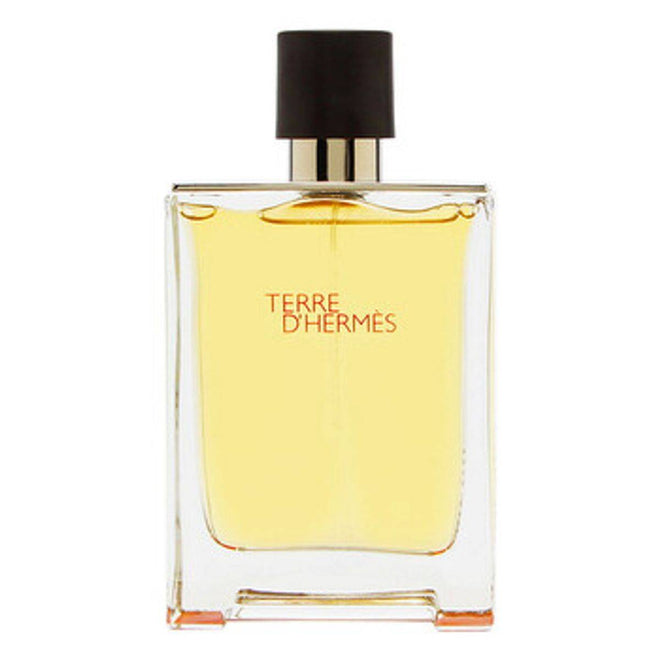Hermes Terre D'Hermes (M) EDT 100ml