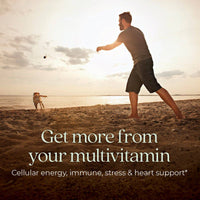 New Chapter One Daily Every Mans Multivitamin 72 Tablets