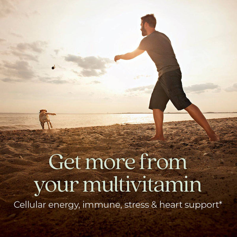 New Chapter One Daily Every Mans Multivitamin 72 Tablets