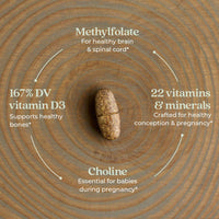 New Chapter One Daily Prenatal Multivitamin 60 Tablets