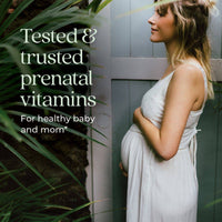 New Chapter One Daily Prenatal Multivitamin 60 Tablets