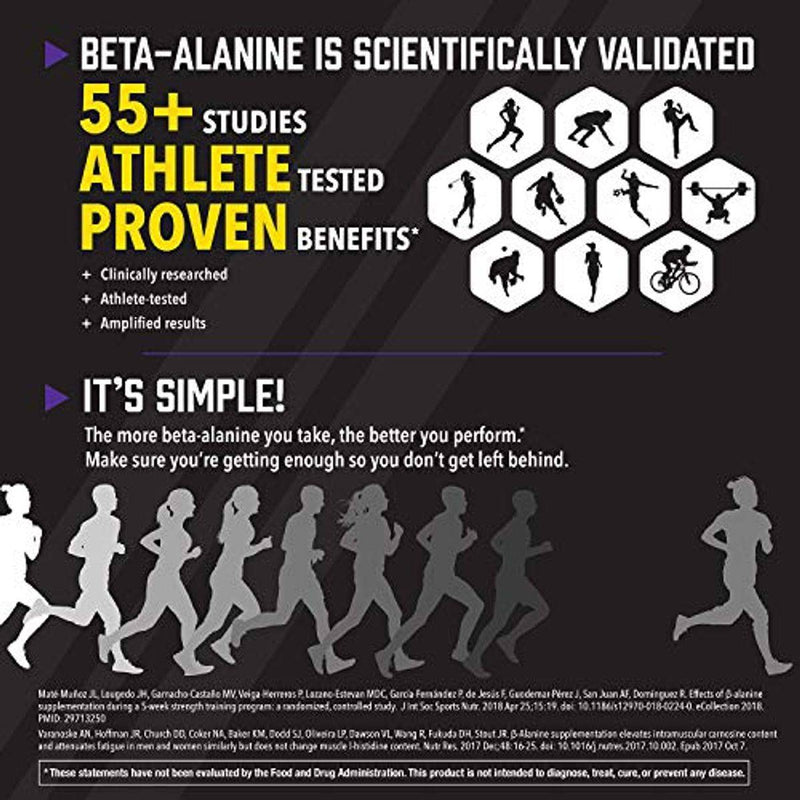 Now Sports Beta Alanine Powder 500g