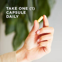 Solgar B Complex 100 50 VegeCapsules