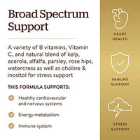 Solgar B Complex With C Stress Formula 250 Capsules