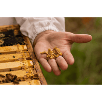 Comvita Propolis PFL 30 90 Capsules