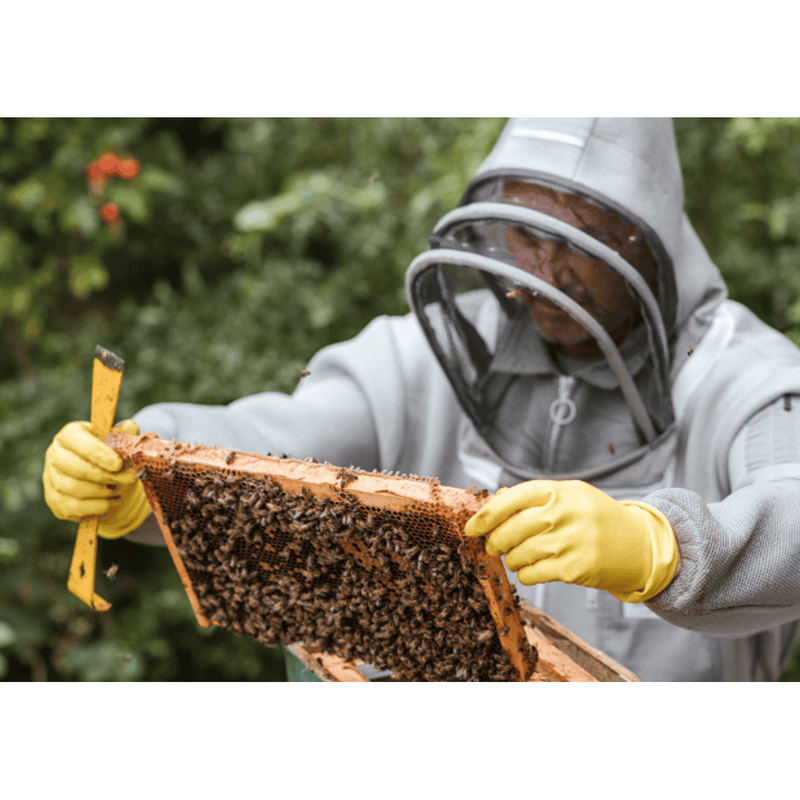 Comvita Propolis PFL 30 90 Capsules