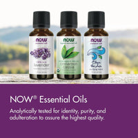 Now Essential Oil 100% Pure Rosemary 30ml