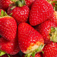 Daily Shake Strawberry Cheesecake Sachet 50g