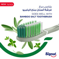 Signal Toothpaste Complete 8 Actions Nature Herbal Gum Care 75ml