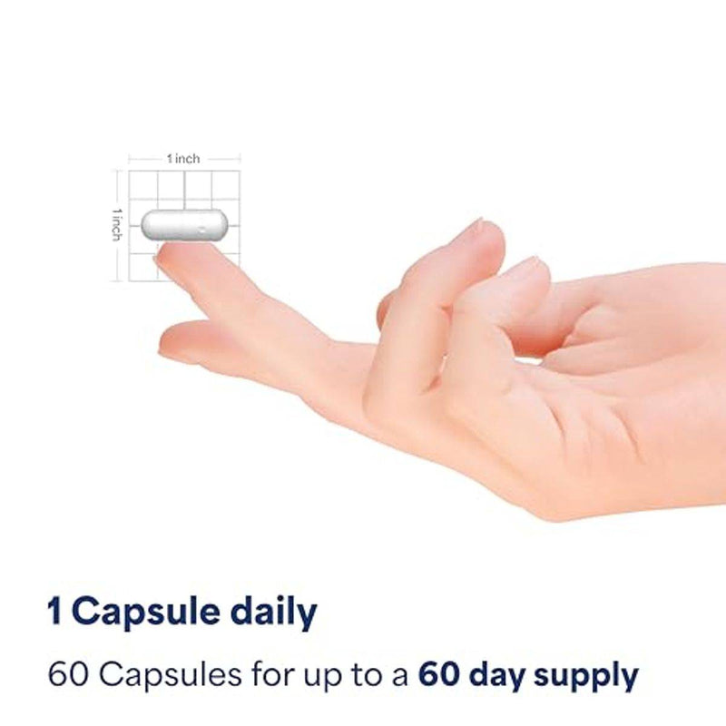 Puritans Pride Probiotic 10 60 Capsules
