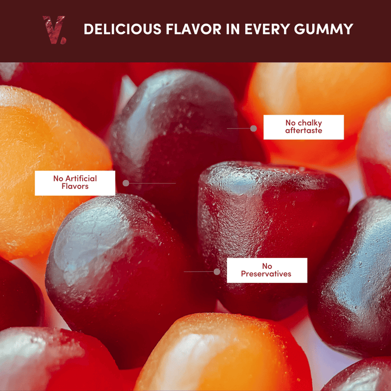 Vitamina Adult Multivitamin 60 Gummies