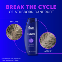 Head & Shoulders Anti Dandruff Instant Oil Control Shampoo 400ml
