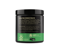 Optimum Nutrition Creatine Powder 300g