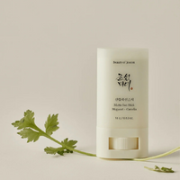 Beauty of Joseon Matte Sun Stick Mugwort + Camelia SPF50+ 18g